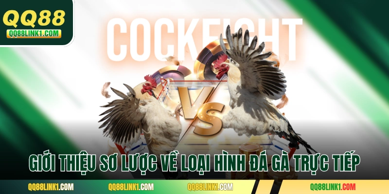 Giới thiệu sơ lược về loại hình đá gà trực tiếp