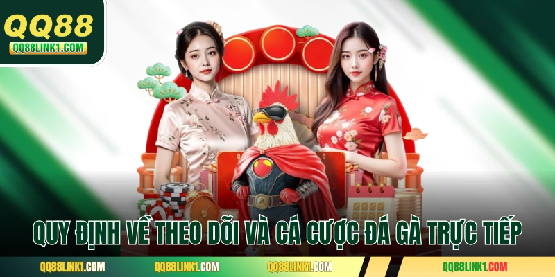 Quy định về theo dõi và cá cược đá gà trực tiếp