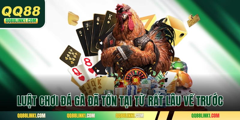 Luật Chơi Đá Gà Chuẩn Đông Nam Á Của Sới Đấu Chuyên Nghiệp 1 Luật chơi đá gà đã tồn tại từ rất lâu về trước