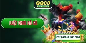 Luật Chơi Đá Gà Chuẩn Đông Nam Á Của Sới Đấu Chuyên Nghiệp