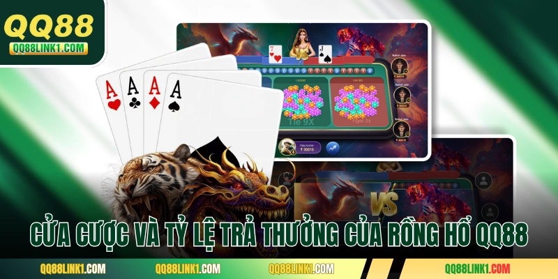 Các cửa cược và tỷ lệ trả thưởng của Rồng Hổ QQ88