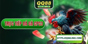 Trực Tiếp Đá Gà CPC3 - Nơi Thăng Hoa Cùng Các Chiến Kê Hạng A