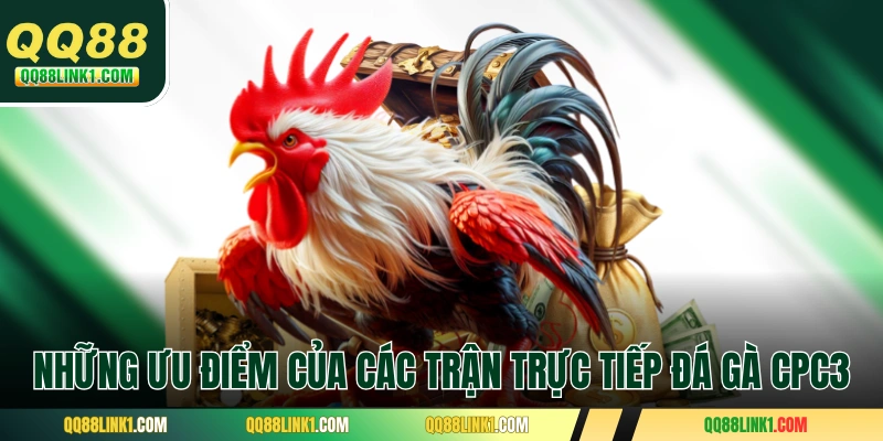Những ưu điểm của các trận trực tiếp đá gà CPC3